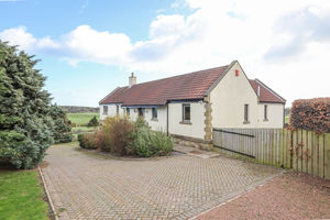 Photo 19- click for photo gallery